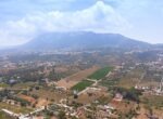 46 (Copy)